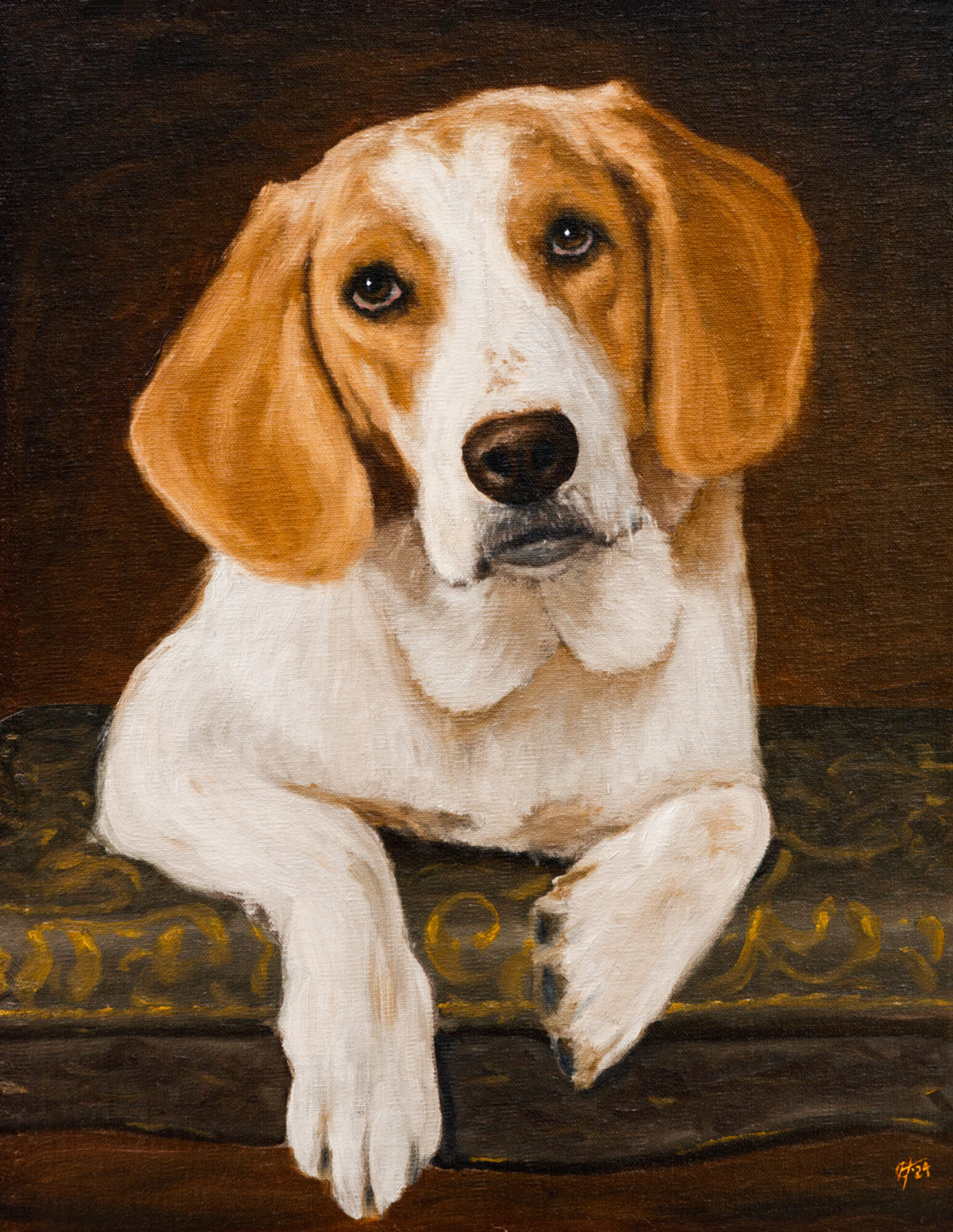 Pet portrait Beagle