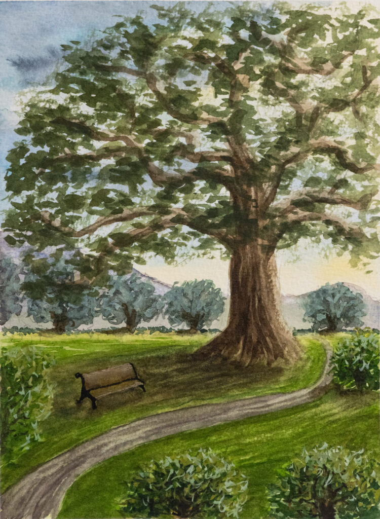 NSSanctuary-srgb Original watercolor Painting - Sanctuary - by Hayward Gaude